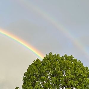 Meet your Posher, Kenzie